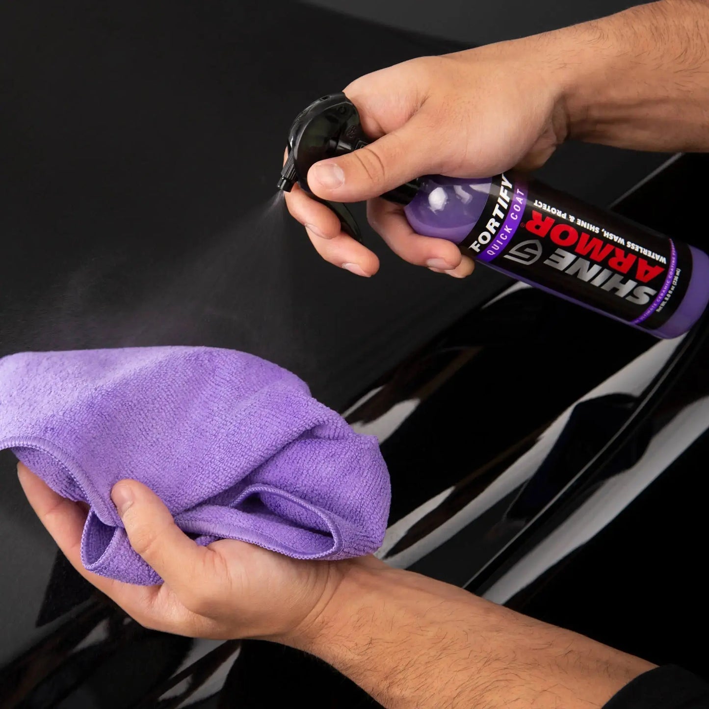 Limpiador y Protector - Shine Armor®