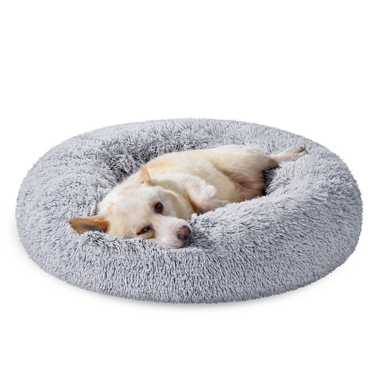 CAMA MrFluffyFriend™
