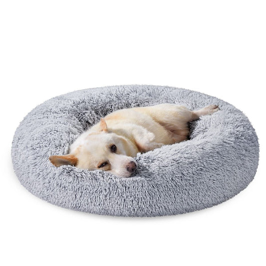 CAMA MrFluffyFriend™