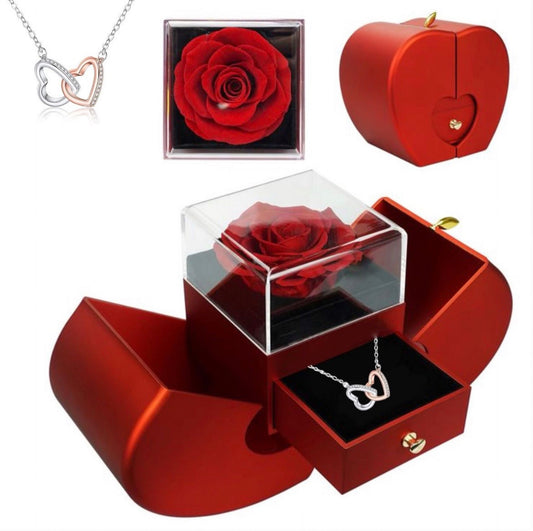 ROSA PRESERVADA + REGALO COLLAR PLATA